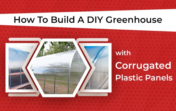 DIY Greenhouse with Corrugated Plastic Panels - Featured Image