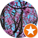 G'day M8 profile picture